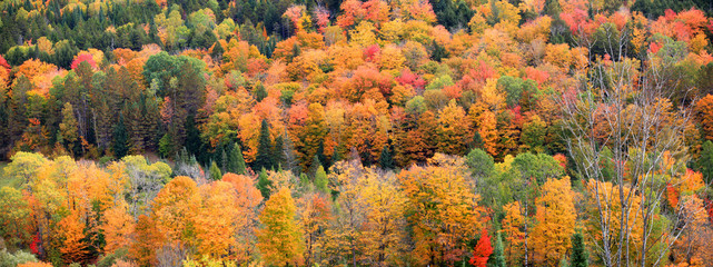 Panoramic view of fall foliage in rural Vermont