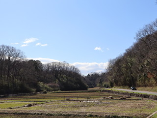 里山と田んぼの風景