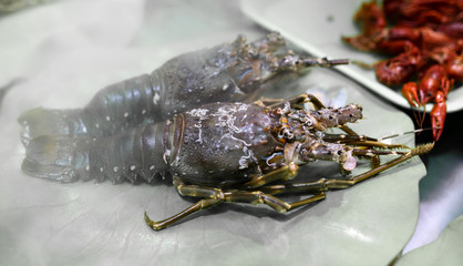 Sea crayfish cooked according to a special recipe.