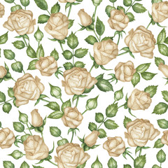 Pattern beige roses