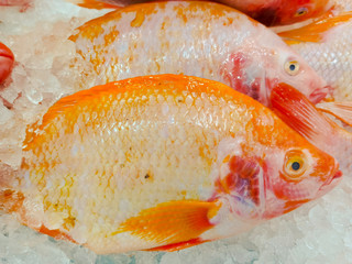 Fresh fish at the market for sell and food cooking 