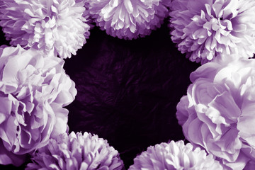 Obraz premium Beautiful abstract color blue pink and purple flowers on black background and blue graphic white flower frame and pink leaves texture, purple background, colorful graphics banner 