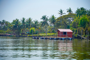 Fototapeta na wymiar Beautiful river side tree and house view in Kerala India.