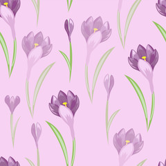 pink flower patterns spring crocus