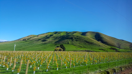 Fototapeta premium Beautiful landscape while bus trip