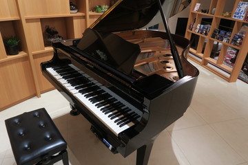 self playing piano © Yevhenii