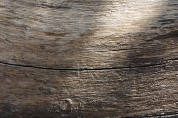 Fototapeta premium wood bark texture closeup for natural brown abstract bacgkround