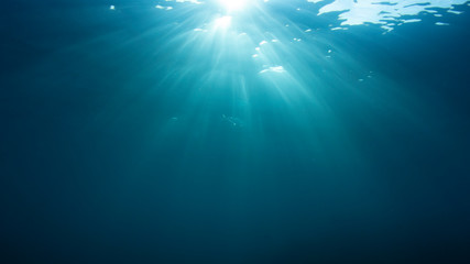 Underwater ocean background. Sea surface and sunlight