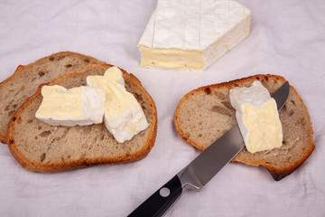 Piece of French brie cheese