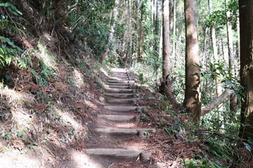 千葉県南房総富山の登山道