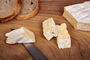 Piece of French brie cheese