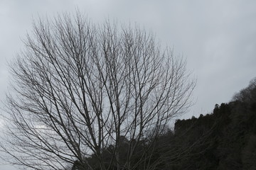 風景　山　湖　ダム