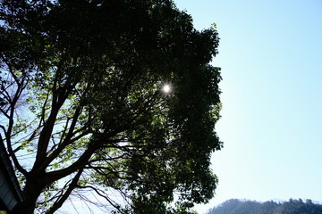 Obraz premium 風景 山 湖 ダム