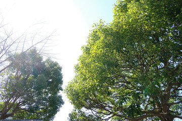風景　山　湖　ダム
