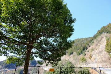 風景　山　湖　ダム