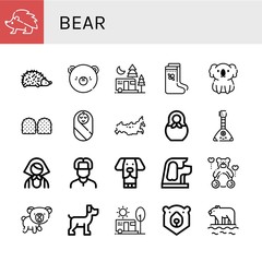 bear icon set