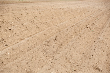 Fototapeta na wymiar Closeup of a plowed agricultural field. Farmers in waiting of the appearance of young potato sprouts. Agricultural concept