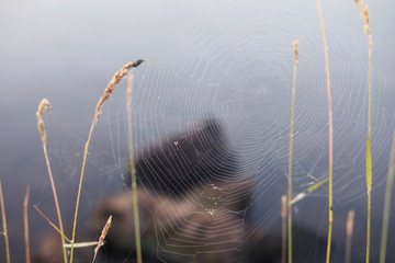 Fog in the lake. Morning nature water white fog.