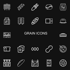 Editable 22 grain icons for web and mobile