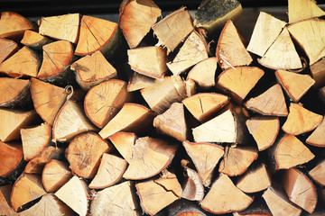 Fototapeta premium Wood background. Wood texture. Shabby old tree.