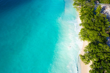 Fototapeta na wymiar Anse Lazio Beach drone view in Praslin Island Seychelles 