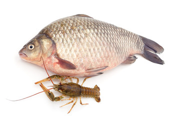 Big river fish with river cancer.