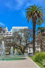 Obraz premium Fontanna I Palma, Buenos Aires