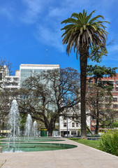 Fountain And Palm Tree, Buenos Aires