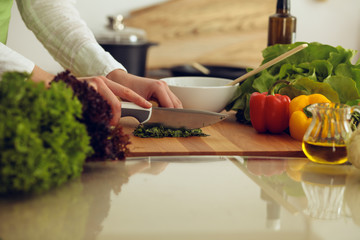 Unknown human hands cooking in kitchen. Woman is busy with vegetable salad. Healthy meal, and vegetarian food concept