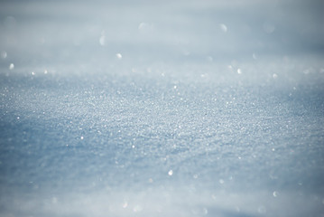 Obraz premium Winter background. First snow. 