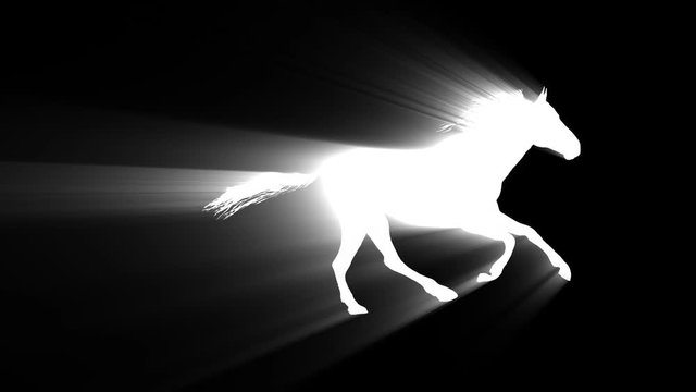 white light horse running silhouette seamless loop new quality unique animation dynamic joyful 4k video stock footage
