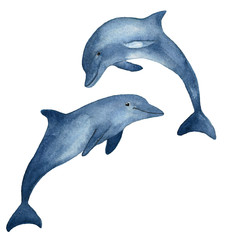 Two blue dolphins hand drawn watercolor illustration