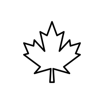 Maple leaf icon