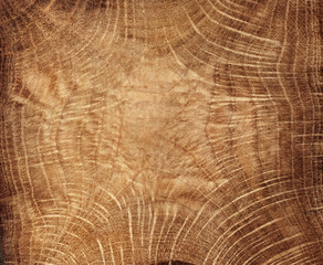 A close up of the cut of oak