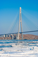 Cable-stayed bridge. Vladivostok. Russian island. 