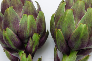 Obraz premium Artichoke flowers on white background 