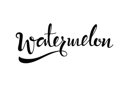 Watermelon Text In Brush Style Vector