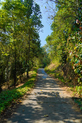 Fototapeta na wymiar Mountain roads of Munnar with tea estates on both sides provides a breathtaking view to the tourists.