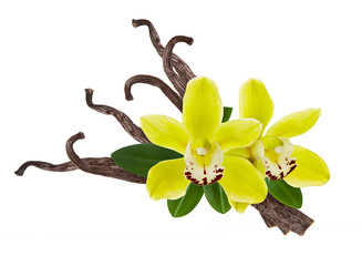 Vanilla dry stick bean isolated on white background with flower and green leaf. Aroma spice for...