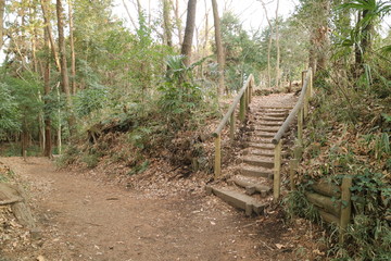 ハイキングコースの階段