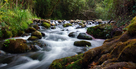 ruisseau de montagne - obrazy, fototapety, plakaty