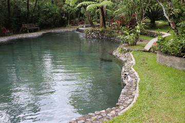 outdoor swimming pool in a garden