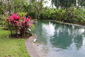 outdoor swimming pool in a garden