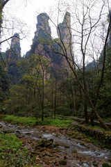 "Góry Awatarowe" w Chinach - Trekking w deszczu © Miroslaw