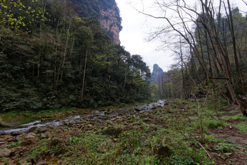"Góry Awatarowe" w Chinach - Trekking w deszczu © Miroslaw