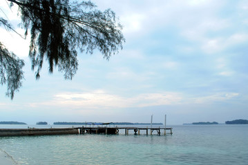 Fototapeta premium pier on the beach