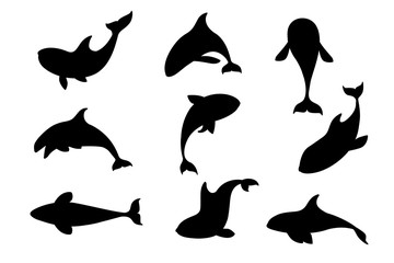 Black silhouette set of killer whale(Orcinus orca) cartoon animal design ocean mammal orca flat vector illustration isolated on white background