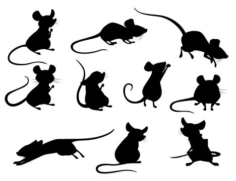 Black silhouette set of gray mouse in different poses cute small mammal animal flat vector illustration isolated on white background