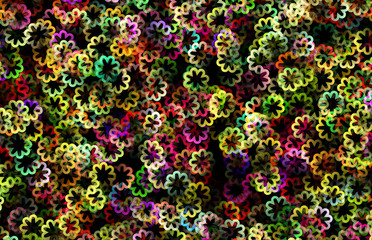  colored flowers