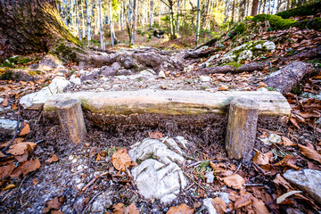 old footpath